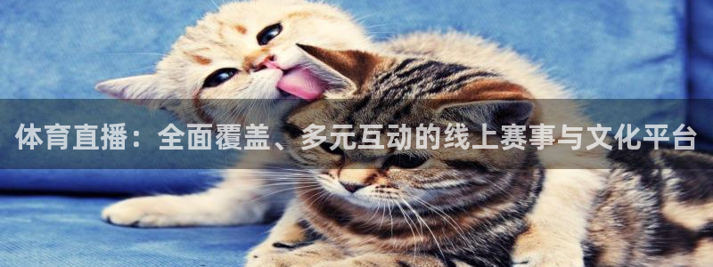 永利集团304官网