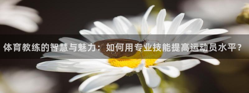 澳门永利的老板是谁
