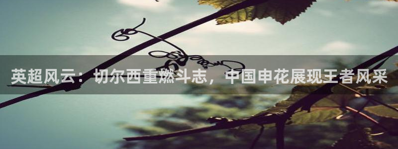 新永利