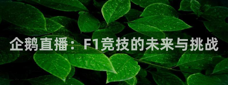 永利皇宫官网