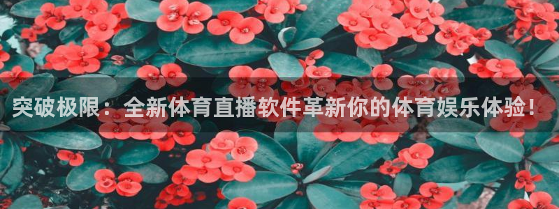澳门永利老板简介