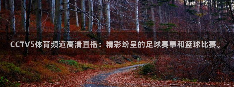 永利娱城