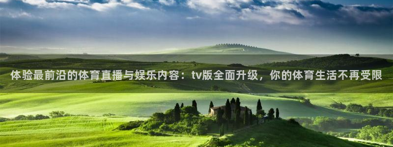 新永利