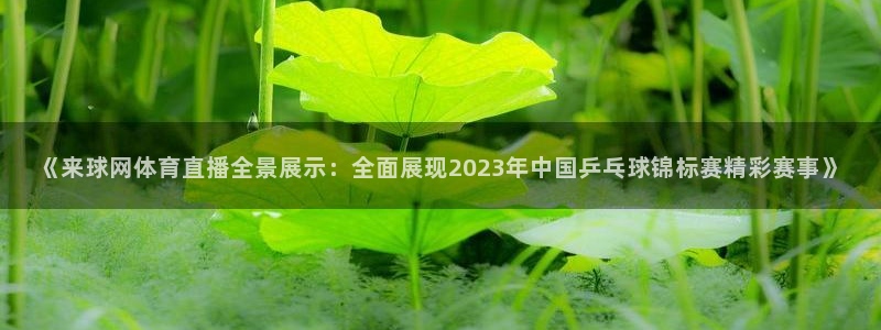 永利集团304官网