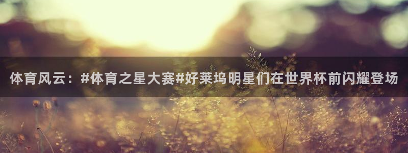 永利皇宫酒店图片