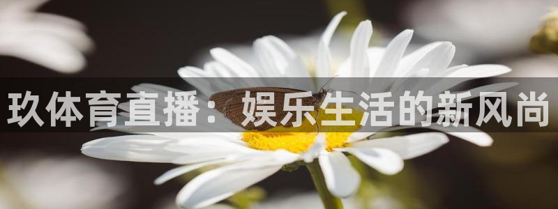 永利皇宫酒店