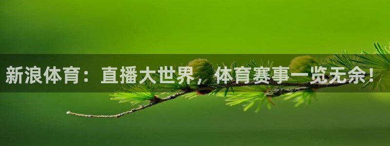 永利官网入口
