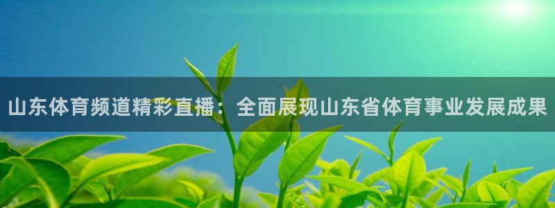永利贵宾会