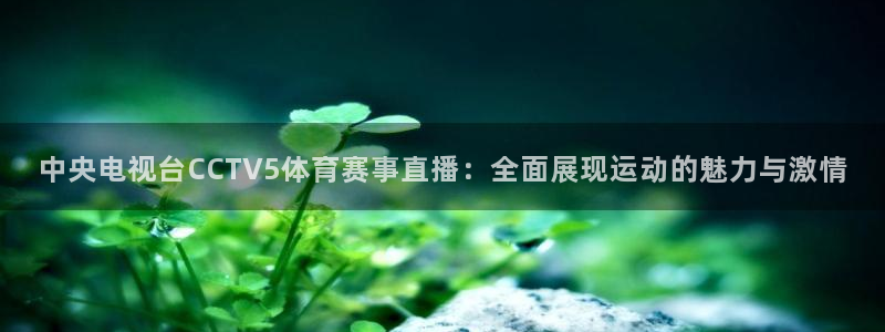 澳门永利轩官网